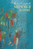 shimmer report cover